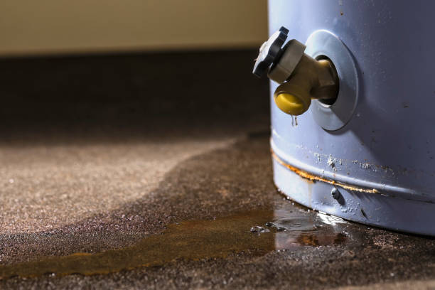 Best Water damage restoration company  in Royalton, IL
