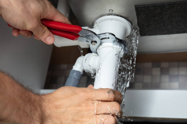 Best Water damage restoration process  in Royalton, IL