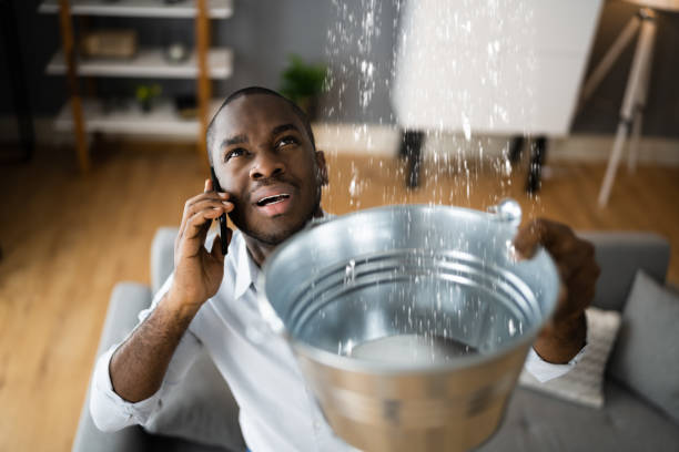 Royalton, IL Water damage restoration Company