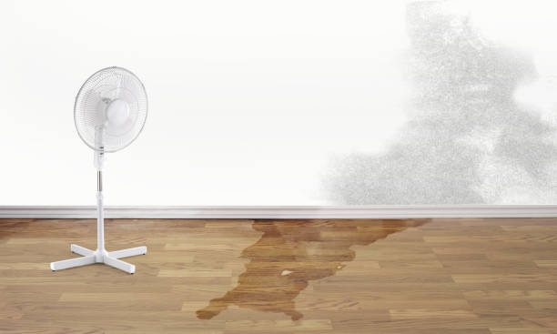 Best Emergency water damage restoration  in Royalton, IL