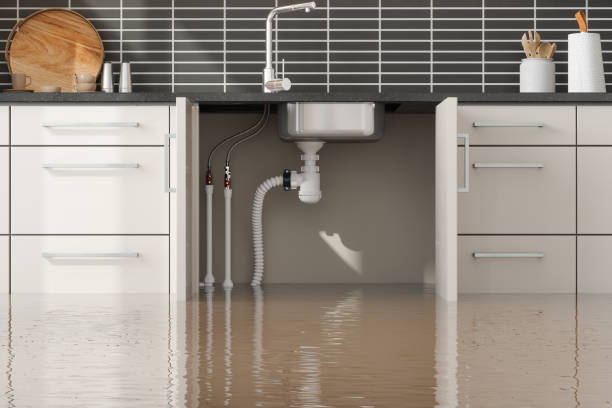 Water damage restoration process in Royalton, IL