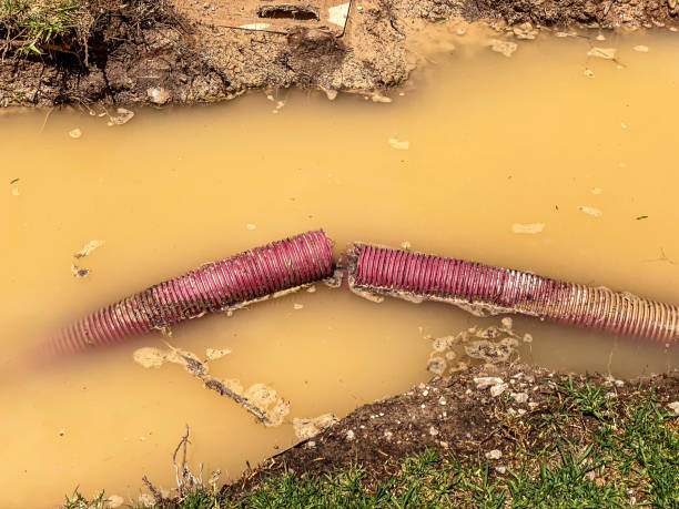 Sewage cleanup and water damage restoration in Royalton, IL