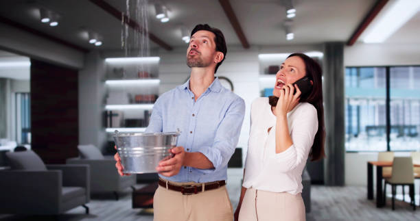 Best Water damage cleanup near me  in Royalton, IL
