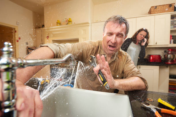 Best Flooded house restoration  in Royalton, IL